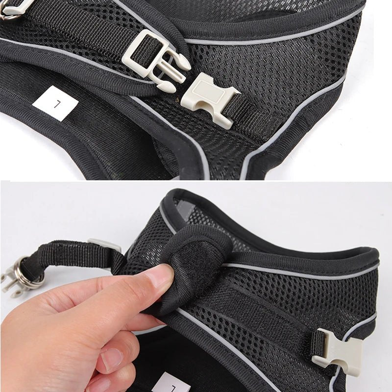 Dog Harness Leash Set for Small Dogs Adjustable Puppy Cat Harness Vest French Bulldog Chihuahua Pug Outdoor Walking Lead Leash - DOG'S UNCLE