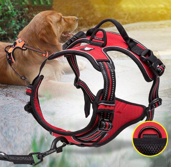 SafetyHarness™ - Harnais pour animal de compagnie - DOG'S UNCLE